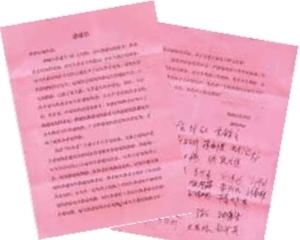 <font color='#337FE5'>108名学生撬动的最高权力机关大动作</font>