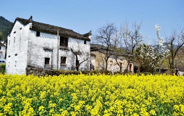 一到春天，这个江西边陲小县便火成“三亚”！