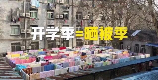 哈哈哈！今天这幢宿舍楼笑喷全国网友：这样晒被子才精致！