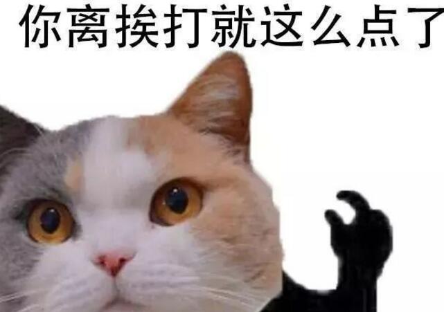 南北语言差异到底有多大？地域再次限制了我的想象力！