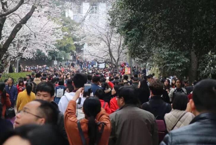 这次，武汉大学彻底怒了！