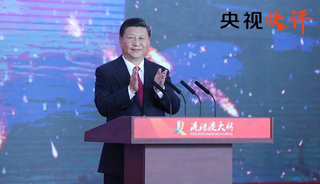 以习近平同志为核心的党中央关心粤港澳大湾区建设纪实